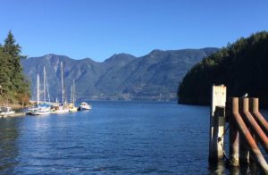 Snug Cove With Gull - Rhodes On Bowen