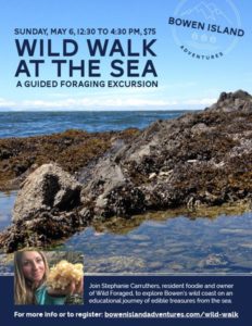 Wild Walk at the Sea - Foraging Excursion
