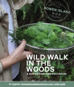 Wild Walk in the Woods - Forest Foraging Excursion