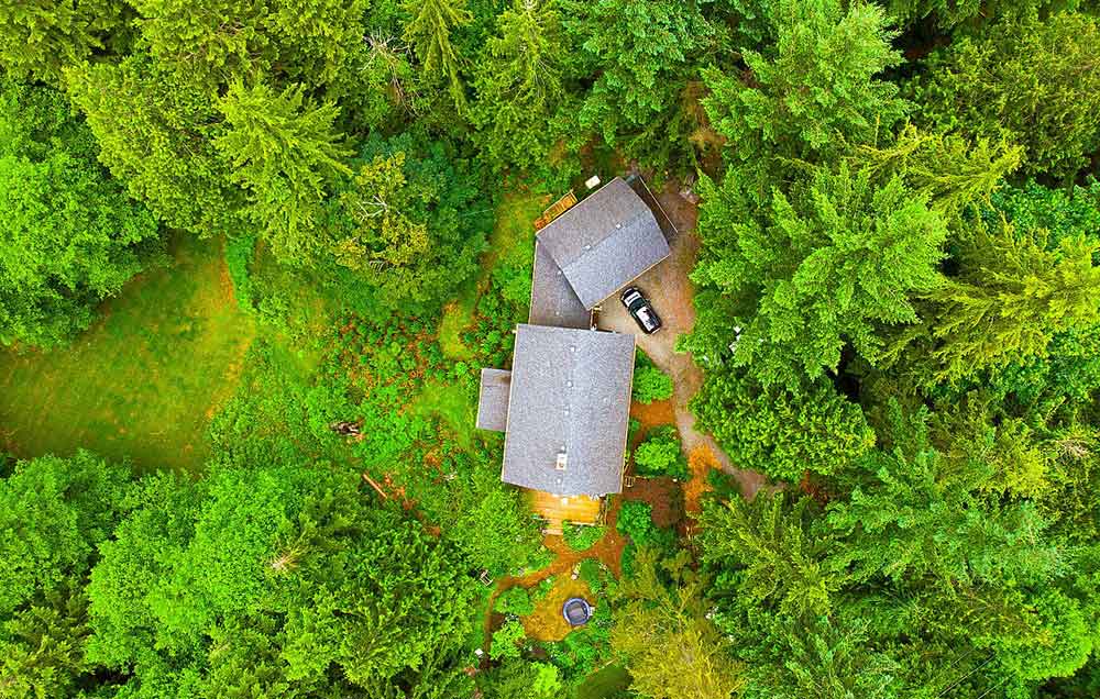Drone of house nestled in trees, Frazer Elliott realtor