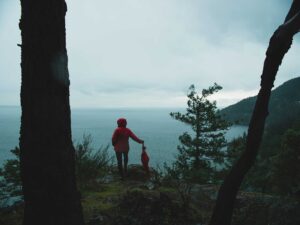 Rainy day, view from Dorman Point