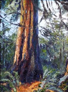 Marie Neys artist cedar tree trunk in forest